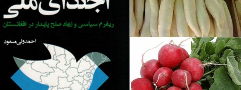 آجندای مُلی