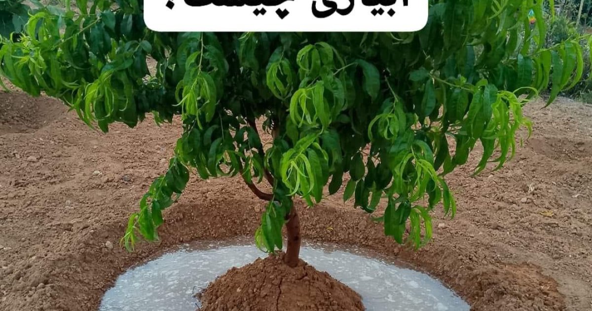 آبیاری چیست