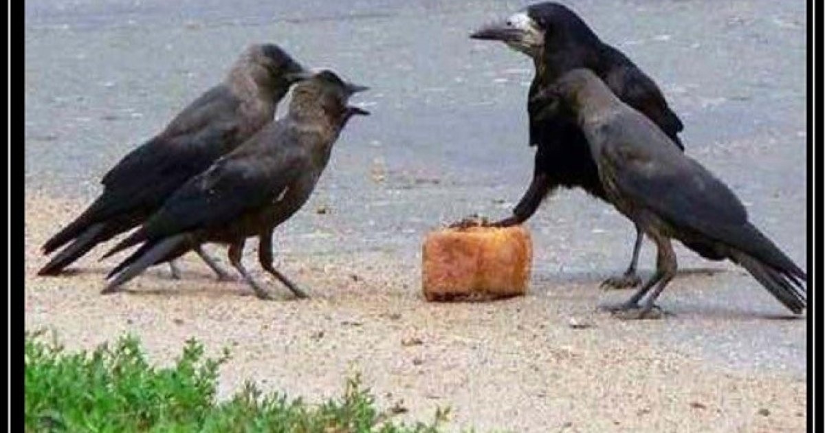 خپل دښن و پېژنٸ!!!؟ او هېڅ يې له ياده مه غورځوٸ!!!؟