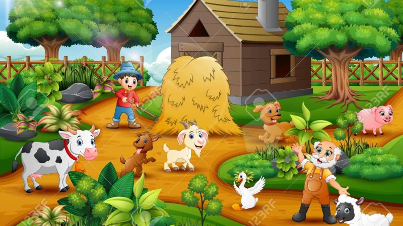 د مازدیګر خیالونه