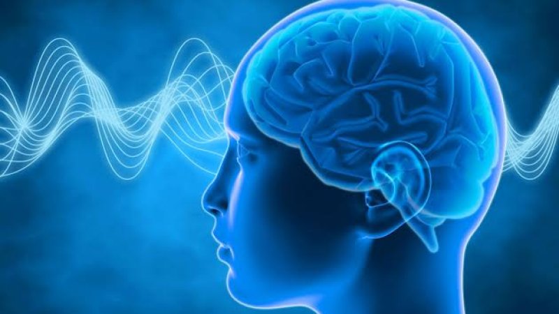 د حافظې د پیاوړتیا څو لارې