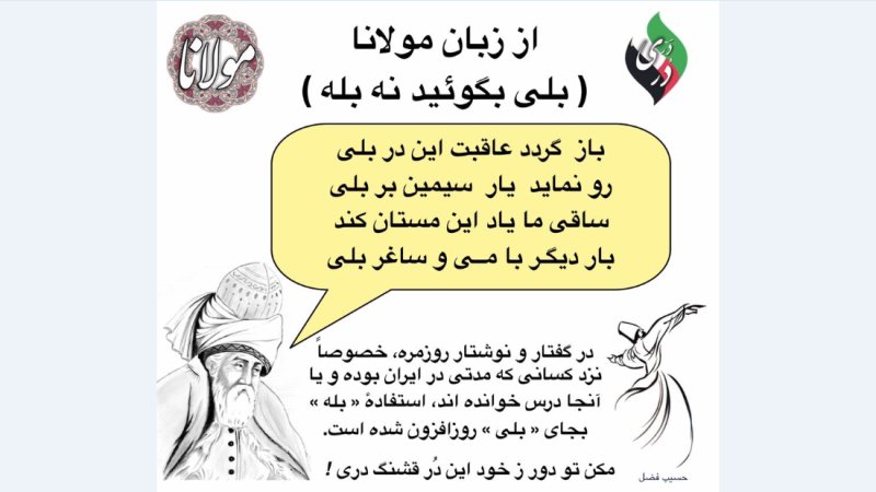 تنوع لهجه ها