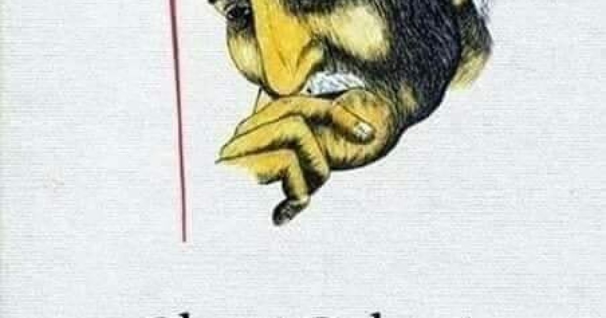 د اتمان خیلو د اتمان خیلۍ پیژندنه۔