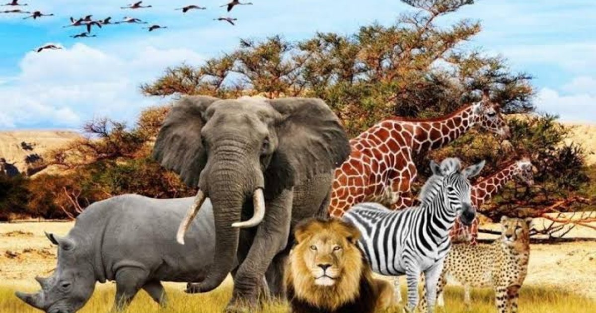 ایا پوهېږﺉ چې کوم څاروی د تندې پر وړاندې ډېر تاب لري؟