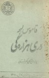 قاموس لهجهء دری هزاره گی cover image