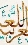 د عربی بین یدیک د اول کتاب د لغاتونو cover image