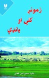 زمونږ کلي او بانډې cover image