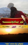 تیر یادونه( نارنج کلاء2) cover image