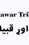 Dawar Tribe,  داوړ قبيله cover image
