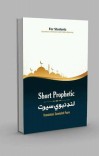 Short Prophetic Life(لنډ نبوي سېرت)