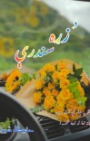 د زړه سندرې cover image