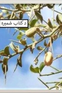 په فـرد او ټولــنه د ګناهـــونـو اغیزې cover image