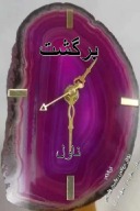 ۱۲۰ - برگشت cover image