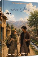 د خارج لېونۍ ناول cover image
