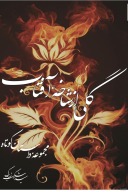 گلی از شاخه آفتاب cover image