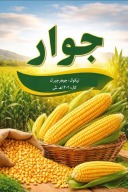 جوار cover image