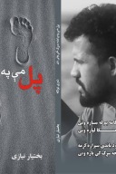 پل می په پاخه سړک کې وتی دی cover image