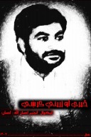 څیرې او زرېنې کرښي cover image
