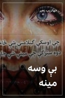 بې وسه مینه cover image