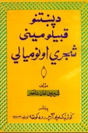 دپښتنو قبيلو ميني شجري او نوميالي cover image