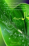 ټال (شعري ټولګه) cover image