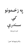 په زخمونو کې سندرې cover image