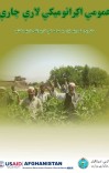 عمومي اګرانومیکي لارې چارې cover image