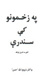 په زخمونو کې سندرې (څلورمه شعري‌ټولګه) cover image
