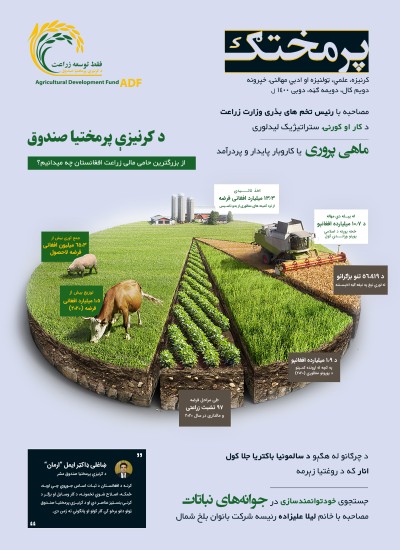 پرمختګ